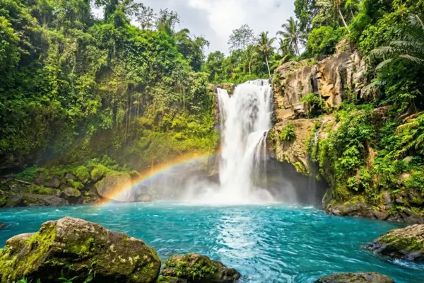 Escursione cascate Tegenungan